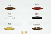 如何正确处理狗狗拉稀便血问题（关注症状，正确治疗，保障狗狗健康）