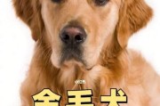 狗狗的饮食禁忌与推荐（了解狗狗的饮食需求，给它们提供健康的食物）