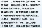 猫狗一生能陪你多久？离世后怎样体面告别？老祖宗那句叮嘱别忘了