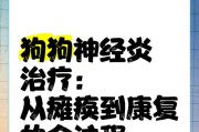 狗狗瘫痪，按摩疗法是关键（了解如何进行狗狗按摩，帮助它恢复健康）