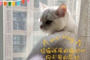 为什么狗会吃猫砂？（探究狗食用猫砂的原因及其影响）