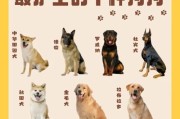 本土狗狗便宜又好养，你最想带哪只回家？（发掘六种适合家庭的优质本土犬，轻松享受宠物陪伴的快乐）
