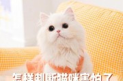 揭秘猫咪“惧怕”的5件事（探寻猫咪心灵深处的恐惧源头）