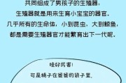 小孩何时开始长毛？（探寻小孩生长发育中的奥秘）
