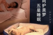 如何解决斗牛犬咬家具的问题（以宠物为主，从训练、保护家具等方面探讨）