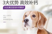 狗狗产后喝什么钙是最好的选择？（了解狗狗产后补钙的必要性和正确方法）