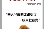 养泰迪狗狗需注意的事项（打造快乐与健康的泰迪狗狗生活）