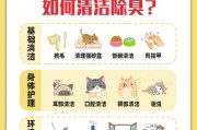 极端高温天，养猫记住这6点，对猫好处大（应对高温天气，猫咪需注意的6个方面）