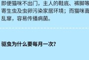 宠物犬体内驱虫周期及注意事项（了解宠物犬体内驱虫周期的重要性及正确驱虫方法）