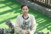 如何正确养护斗牛犬（斗牛犬饲养知识与技巧）