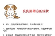 以狗狗什么药止吐效果好？（选择合适的药物是关键）