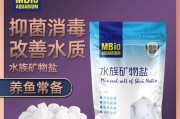 鱼缸盐的应用与好处（优质盐在鱼缸中的重要作用及使用方法）