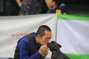 以法牛特点解析（深入探讨以法牛的独特之处）