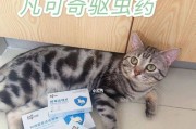 如何帮助宠物猫咪驱虫？（必备知识及预防措施，让你的猫咪健康成长）