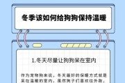 如何解决狗狗持续流泪问题？（探究狗狗流泪的原因和应对方法）