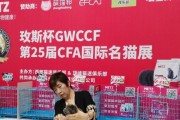 回顾2016年CFA猫展（领略猫咪之美，探索CFA猫展魅力所在）