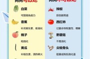 小心！这些东西狗狗不能吃（保护它们的健康，避免给予错误的食物）