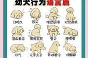 深入了解犬的服从科目（掌握服从科目的重要性和训练方法，提升与犬的沟通能力）