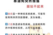 狗为什么会突然抽搐？（探究狗抽搐的原因及应对方法）