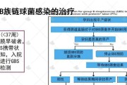 如何应对幼犬链球菌感染（宠物幼犬链球菌感染的原因及症状）