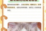 猫咪踩奶的乐趣与意义（探索猫咪踩奶行为的时长及原因）