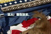 有效收拾狗毛的方法（轻松解决狗毛扫除难题的技巧与建议）