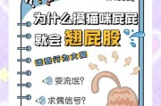 揭秘猫咪喜欢被拍屁股的原因（探究猫咪对于屁股拍打的独特喜好）