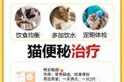 猫咪便秘急救方法大揭秘（如何帮助猫咪快速解决便秘问题，让它舒畅如初？）