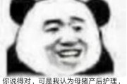 以沙皮母犬的产前和产后护理（宠物妈妈的重要责任）
