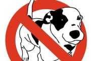 包头市禁止养犬种类的相关政策探析（详解包头市禁止养狗的背后原因与影响）