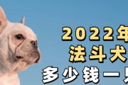 法斗的价格及其影响因素（法斗价格取决于品种、血统和地区）