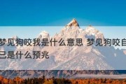 狗狗为什么会咬尾巴？（探究狗狗咬尾巴的原因及解决方法）