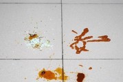 如何管理长毛狗的黄金季节（让宠物在秋季健康成长）