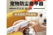 小泰迪指甲护理频率解析（小泰迪指甲修剪周期及相关建议）