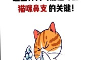 猫鼻子上的奥秘（揭开猫鼻子为什么如此特别的秘密）