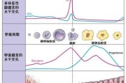 解析假怀孕的原因及其影响（为什么会出现假怀孕？——探寻身体和心理因素的作用）