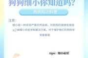 宠物细小病毒（揭开宠物细小病毒的存活奥秘，保护你的宠物免受威胁）