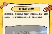 银渐层拉肚子能自愈吗？（了解银渐层拉肚子的症状和自愈方法）