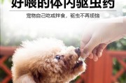 宠物猫体内驱虫必须知道的事情（为什么要给猫咪做驱虫？如何做驱虫？驱虫时需要注意什么？）