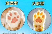猫的性格特点与不同品种的个性差异（探索猫咪性格的奥秘，了解不同品种背后的个性特点）