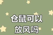 仓鼠的放风与健康（探索放风的重要性，为你的宠物提供更好的生活环境）