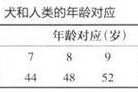 红尾沙鼠的饲养指南（打造舒适的宠物生活，让红尾沙鼠健康成长）