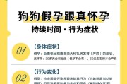 狗怀孕后的反应及时间预测（狗怀孕的迹象和体内变化）