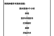 狗长肿瘤的预后及生存期（狗瘤生存期的关键因素及应对策略，以及如何给狗提供更好的生活）