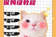 幼猫的健康喂养指南（细致呵护，从两个月开始）
