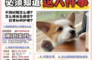 柯基的饮食需要注意的事项（以刚养的柯基喂什么合适？柯基饮食注意事项详解）