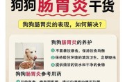 探究狗狗肠炎的症状和治疗方法（了解狗狗肠炎的常见症状和适用药物，帮助宠物恢复健康）