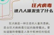 狂犬疫苗（合理接种狂犬疫苗，守护全家平安）
