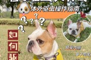 狗狗打虫的副作用及预防方法（了解狗狗打虫的副作用，守护宠物健康）