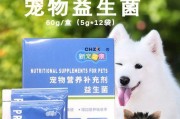 如何给狗狗补充营养？让你的狗狗保持身体健康（狗狗营养摄入的重要性及补充方法）